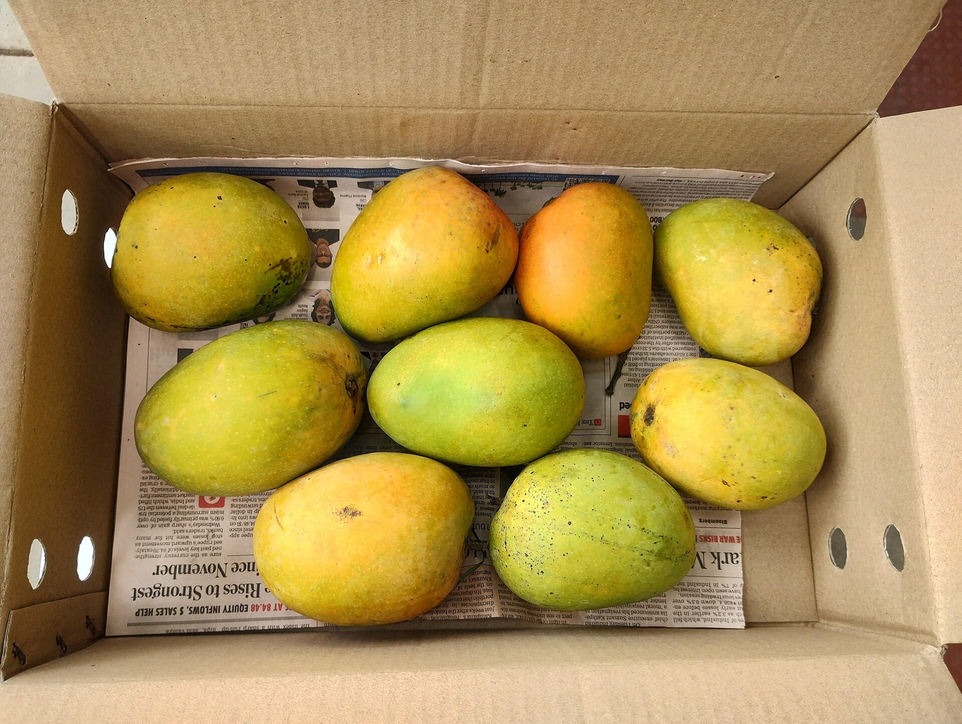 Alphonso Mango (Hapus)