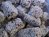 Bal Mithai