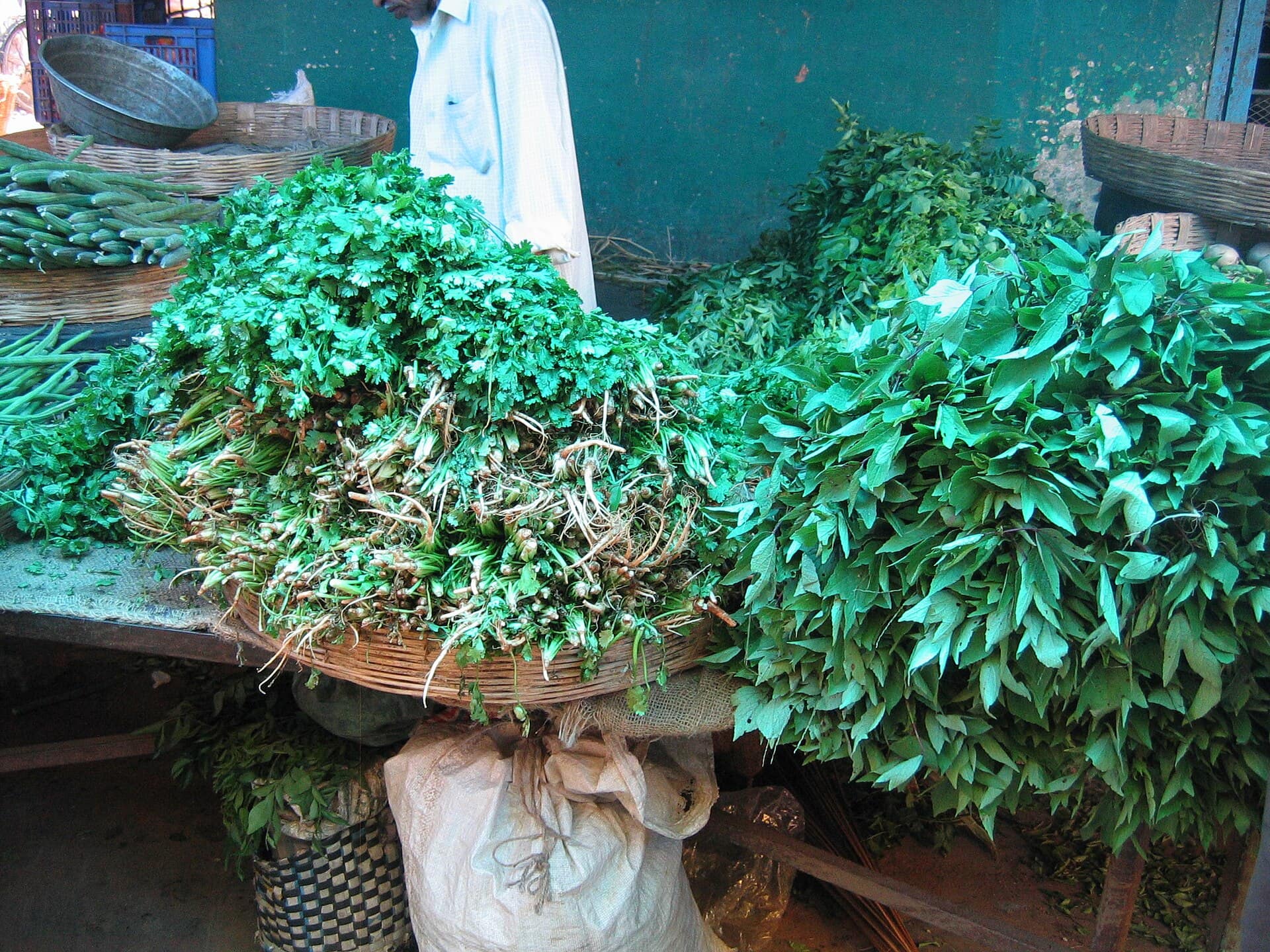Gongura Pachadi