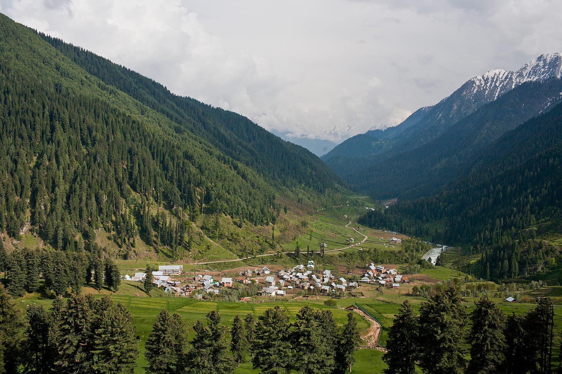 Aru Valley