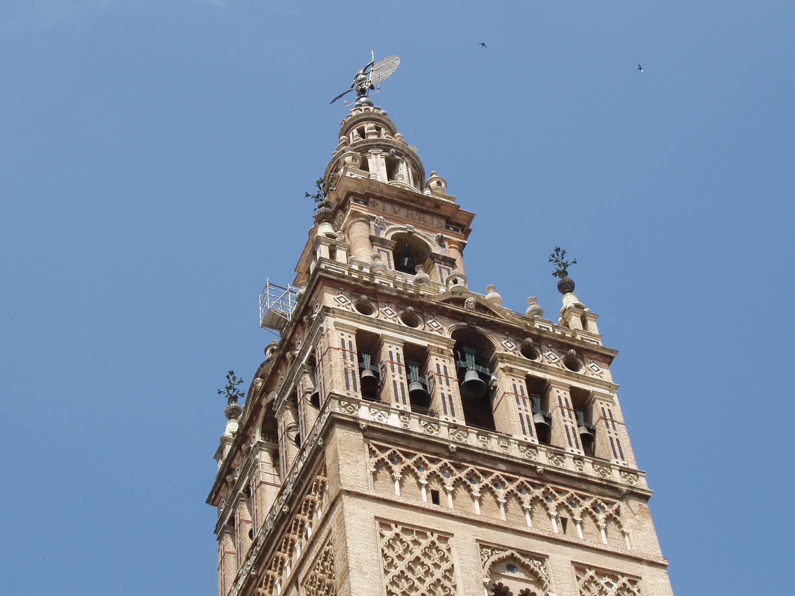 Catedral de Sevilla & La Giralda