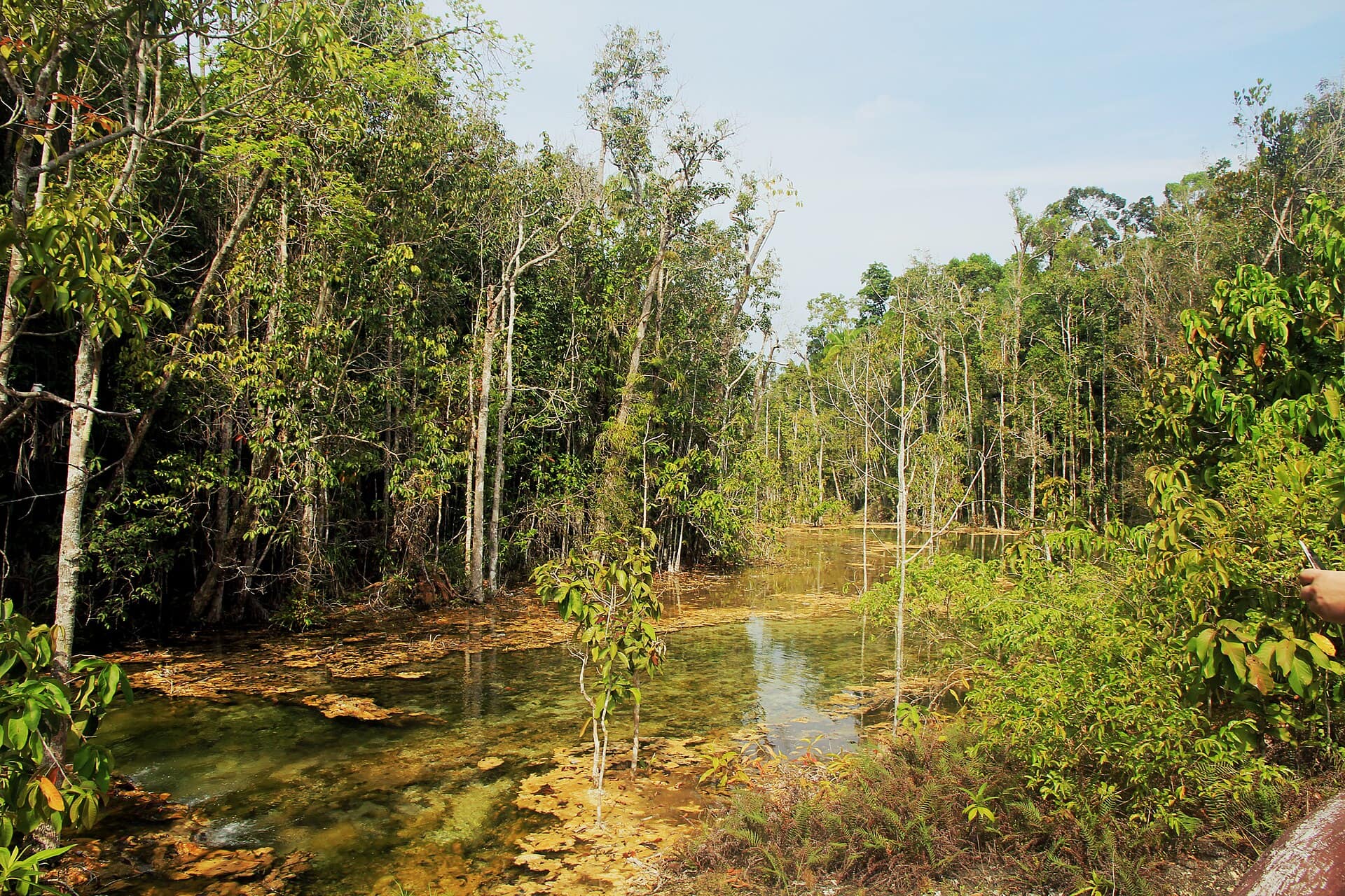 The Emerald Pool