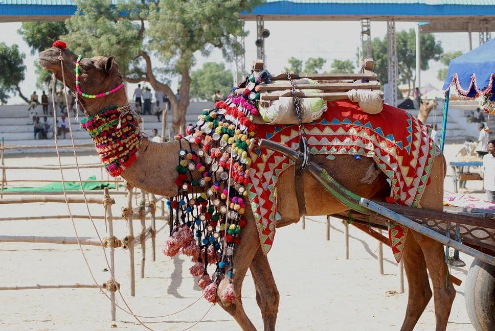 Pushkar Fair Ground