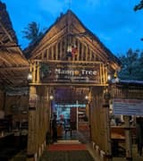 Mango Tree