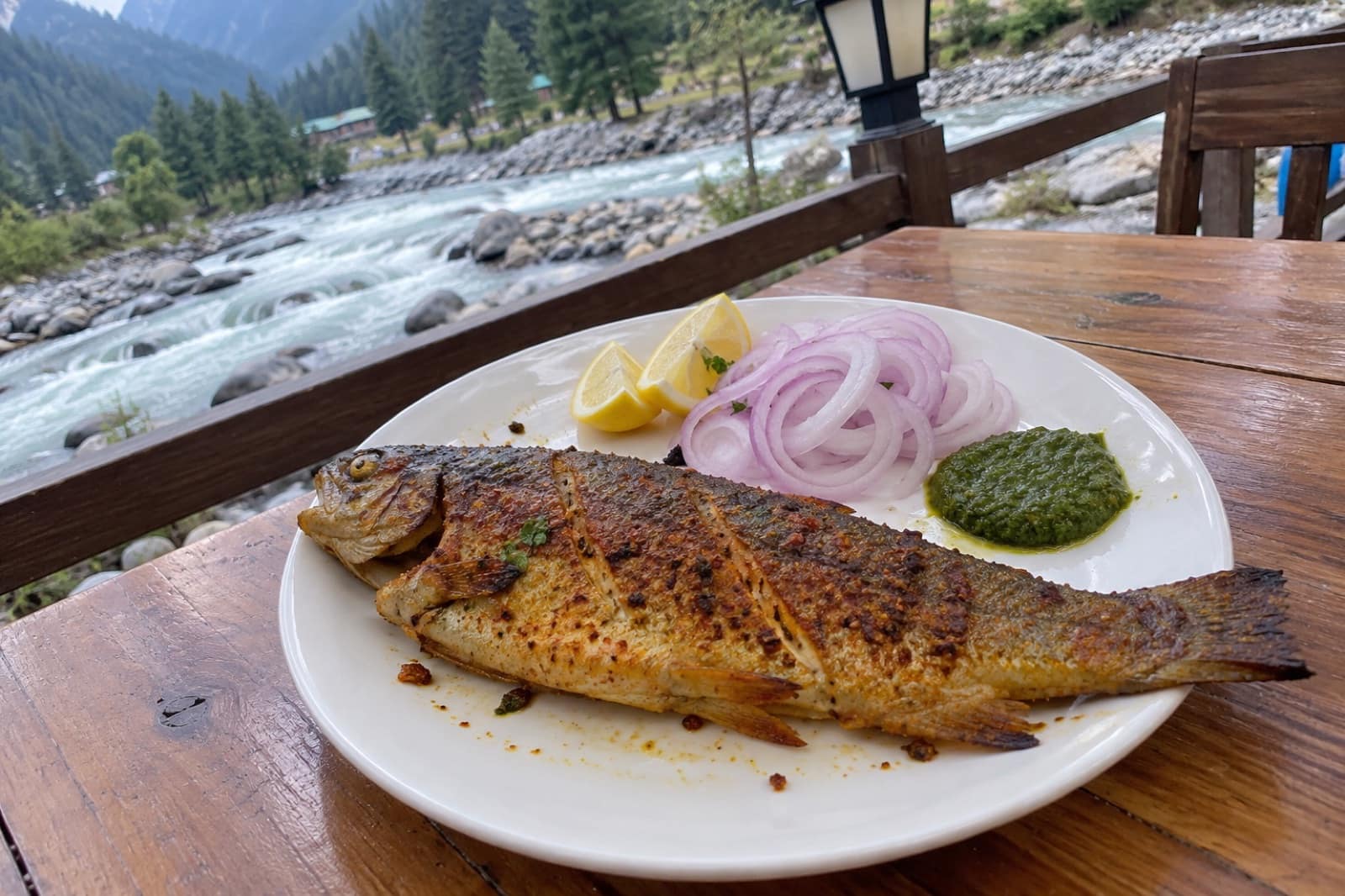 Kashmiri Trout Fry