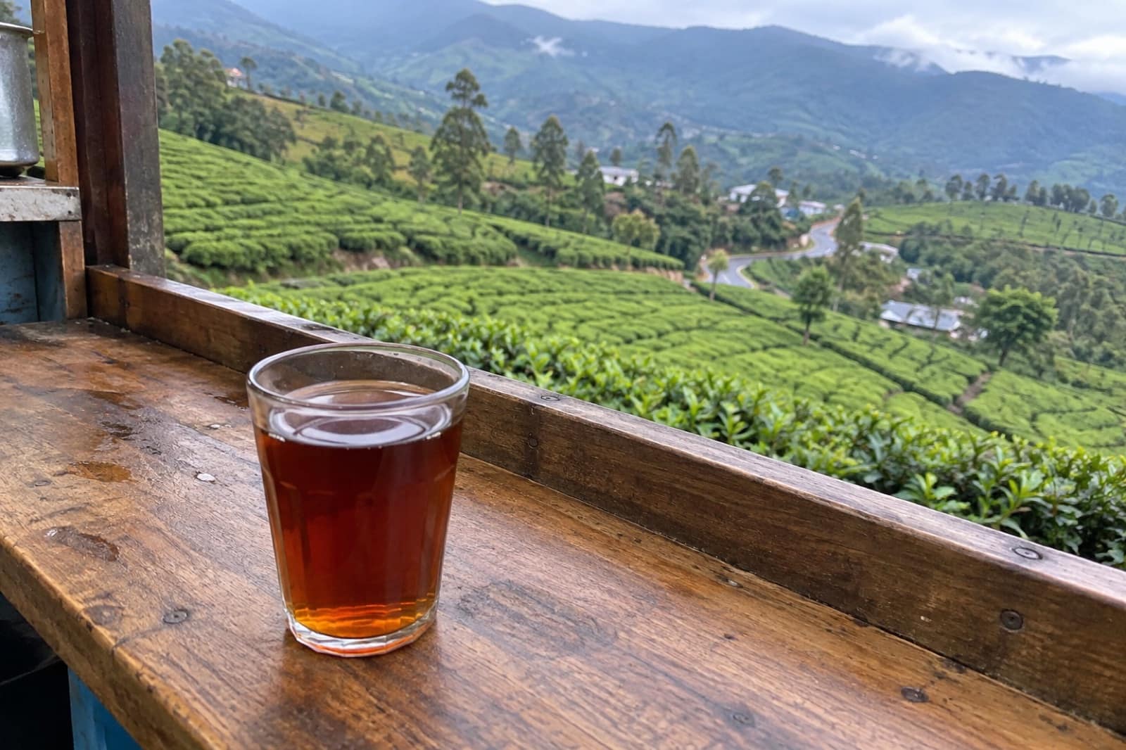 Munnar Tea