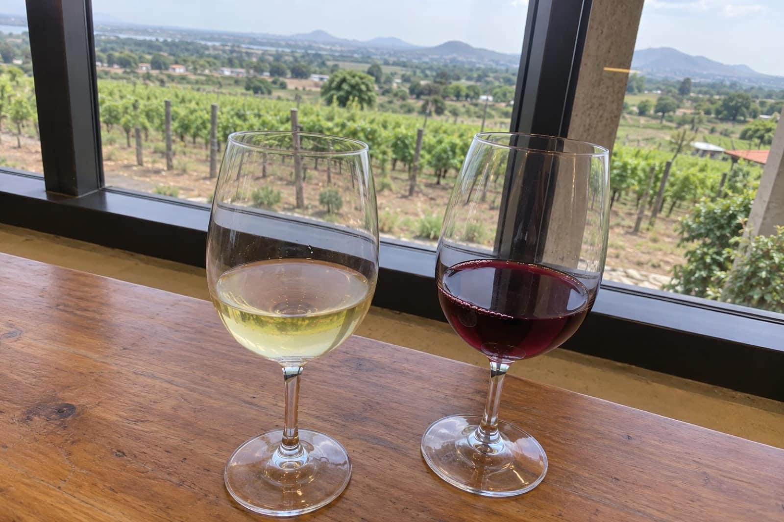 Nashik Wine