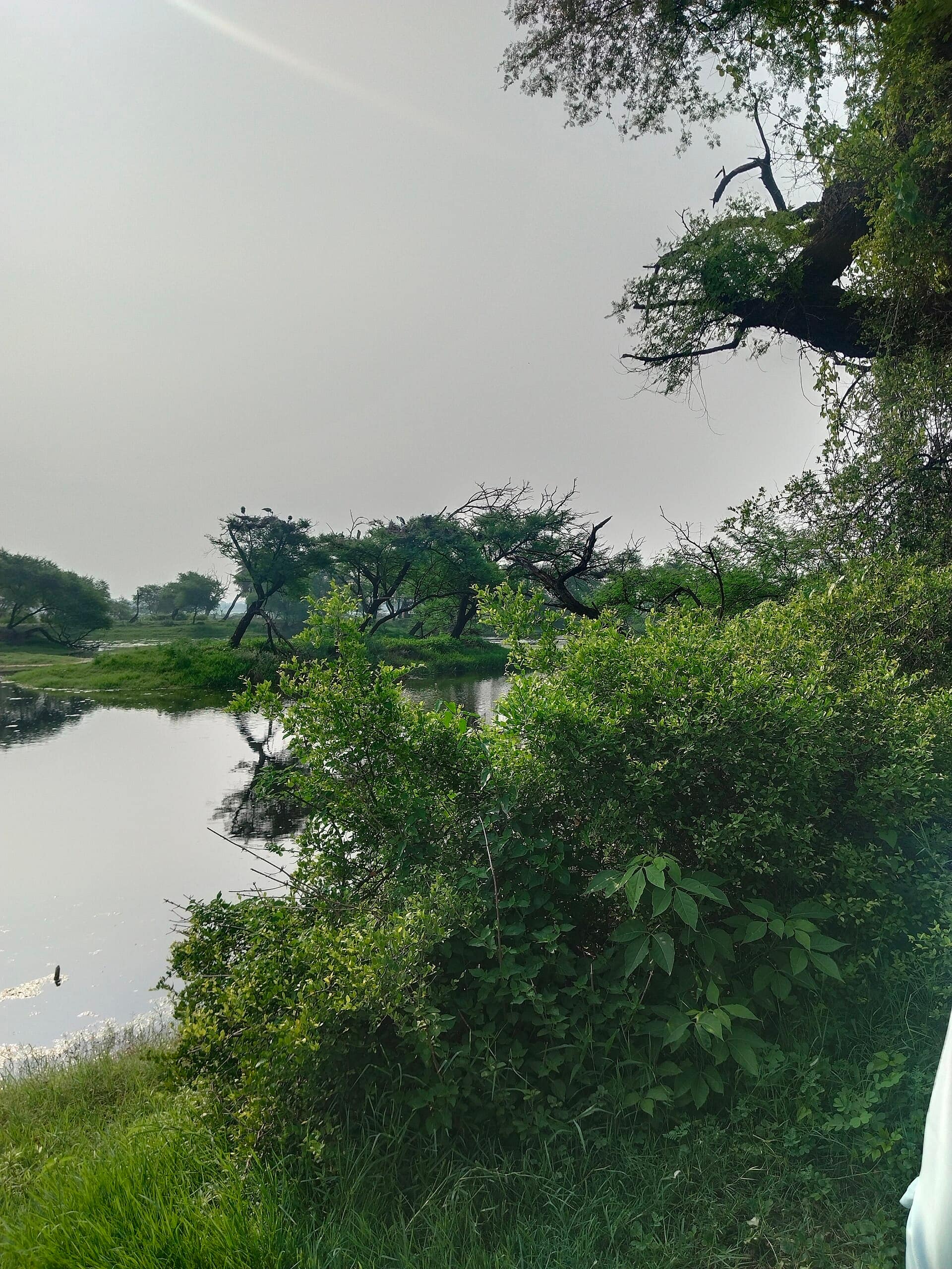 Bharatpur, Rajasthan
