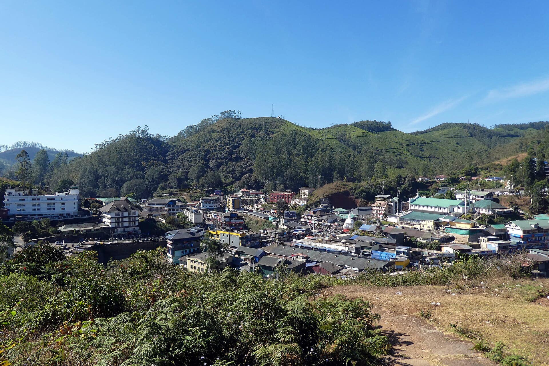 Munnar, Kerala