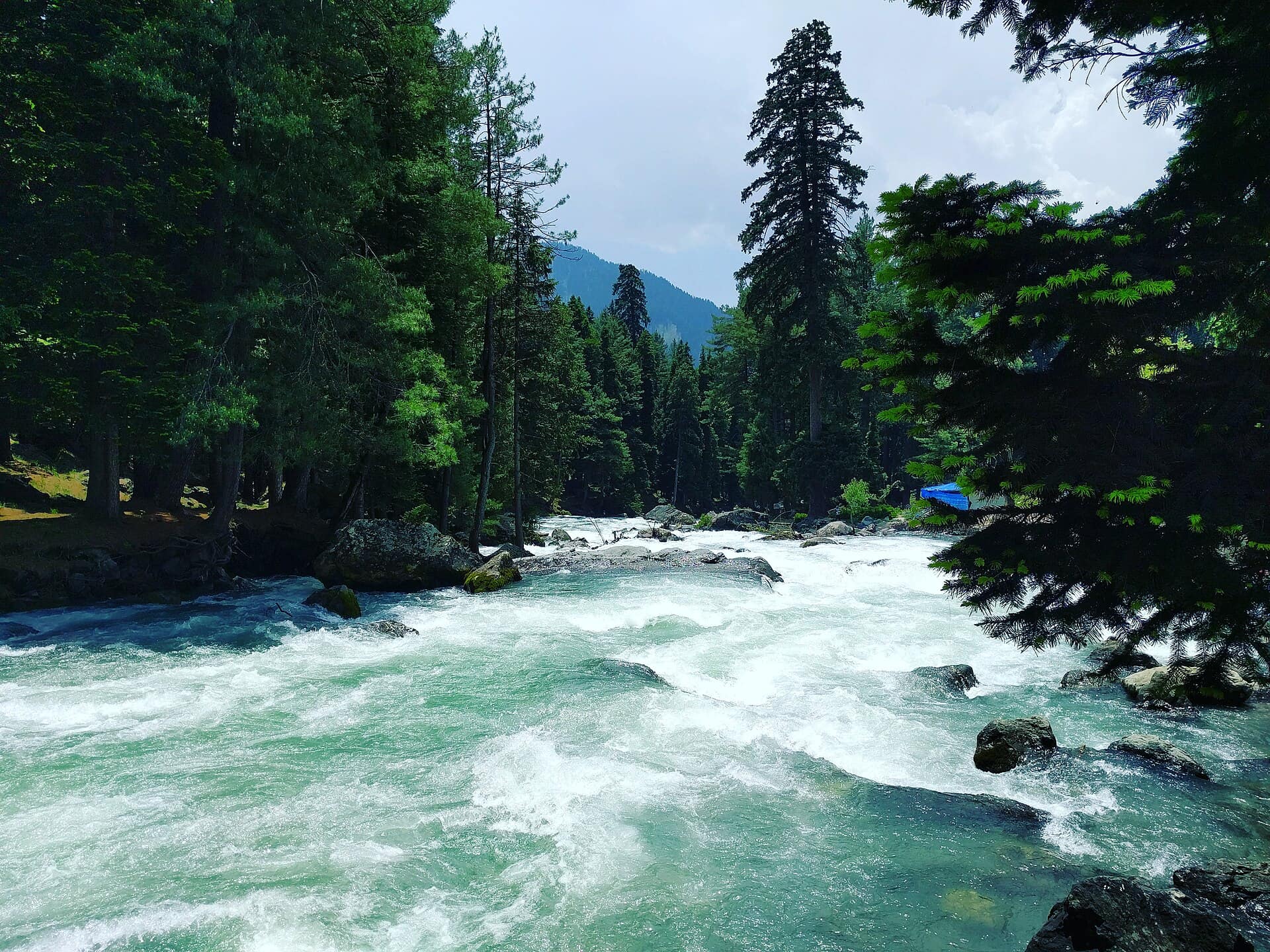 Pahalgam, Jammu & Kashmir