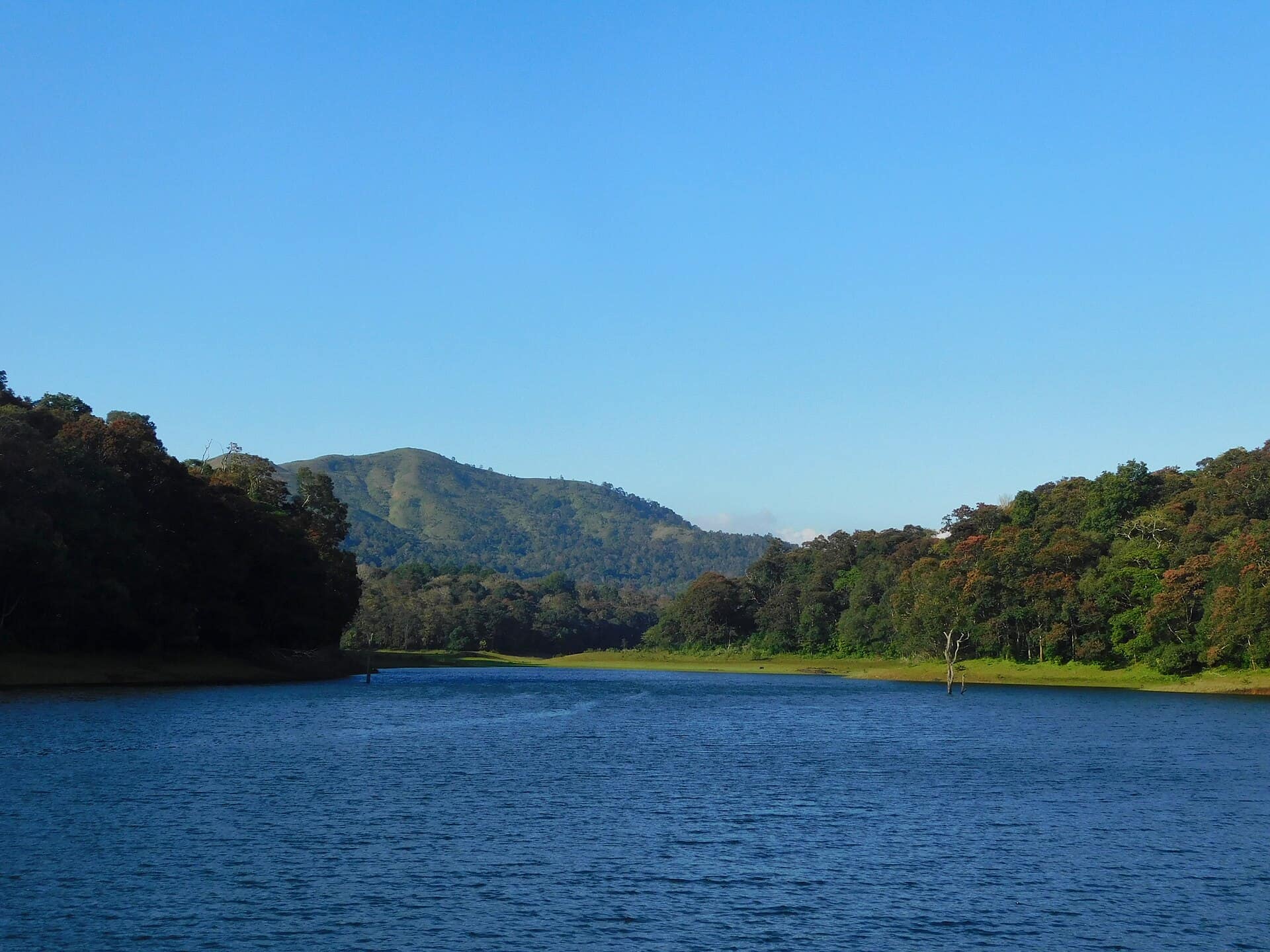 Thekkady, Kerala