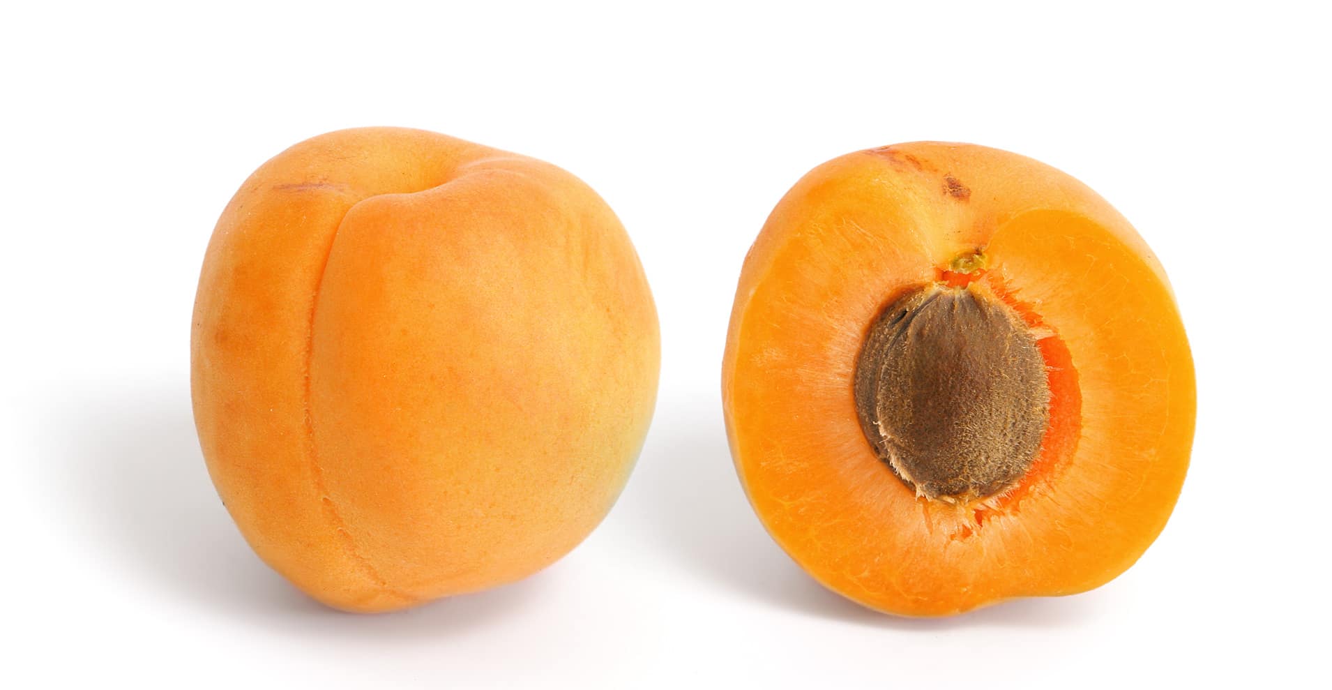Ladakhi Apricots